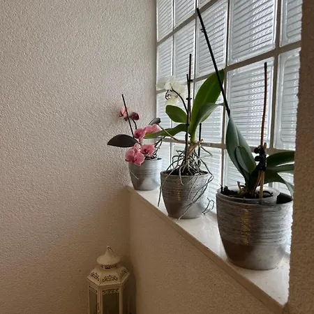 Σπίτι διακοπών Kuca Za Odmor Antonini Kaštela